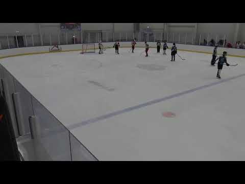 Sportországi Cápák Utánpótlás Jégkorong