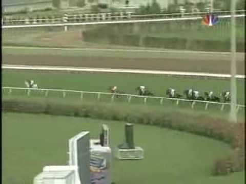 2004 Breeders Cup Turf - Better Talk Now