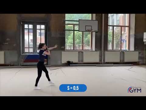 GR - Chorégraphie de référence Niveau D 13 14 ans ballon