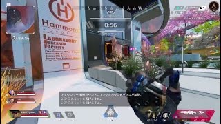 APEXシルバーチャンピオン