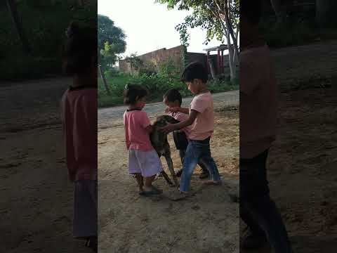 Gaon k bacche dog se khelte hue👍😊🤪#funny #dog #doglover