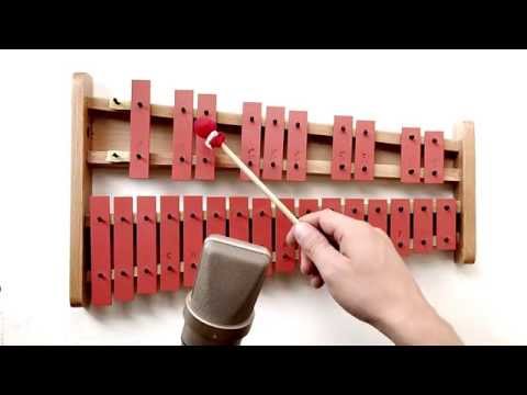 Nord Sample Editor - How to easily create your own samples