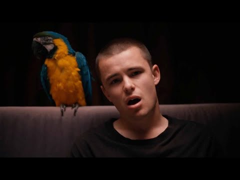 The Royston Club - Glued To The Bed (Official Video)