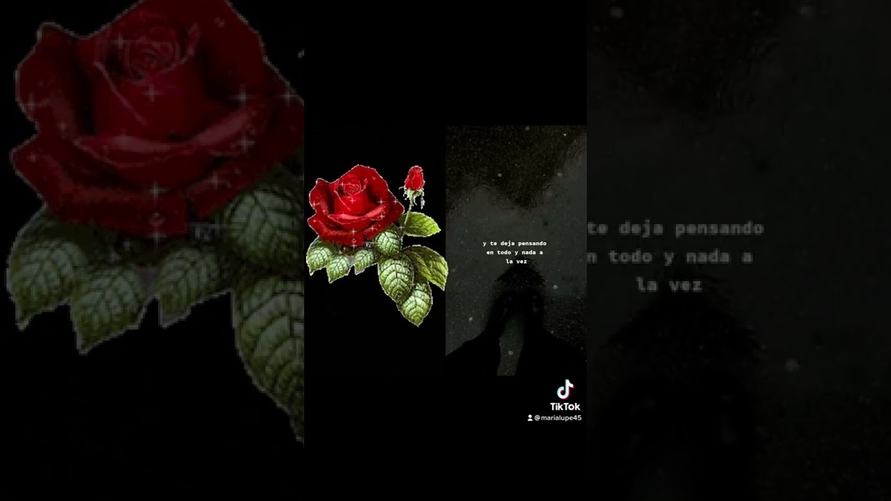 Hay un tipo de tristeza que ya no te hace llorar