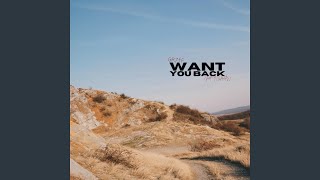 want you back Music Video