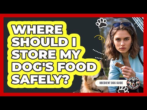 Where Should I Store My Dog's Food Safely?