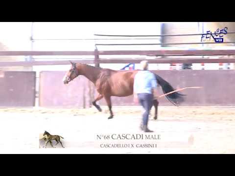 68 - CASCADI (CASCADELLO I / CASSINI I)