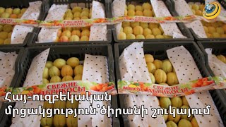 Ուզբեկները գրավում են ծիրանի ռուսական շուկան