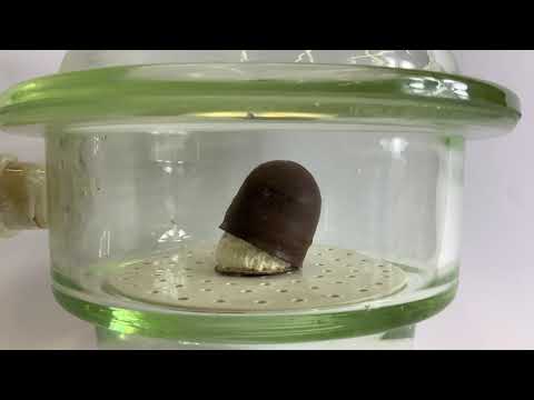 Schokokuss im Vakuum