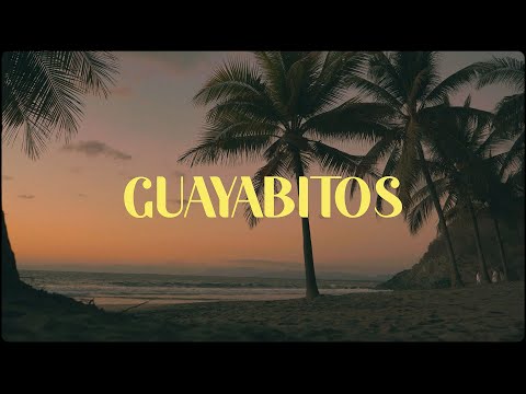 Los Rumberos y Bruno Romano -  Guayabitos (Lyric video)