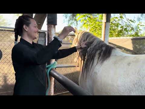 I have a surprise for you.