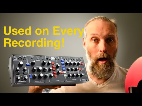 Why am I using a Behringer Model D as a professional Composer?