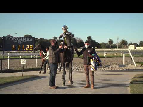 210620 c05 G Vargas/ MAN CAMPEIRA