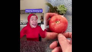 Download lagu Who loves this game 😂 YouTube Lucas Ivkovic #fyp #foryou #amongus #game mp3 Download lagu Who loves this game 😂 YouTube Lucas Ivkovic #fyp #foryou #amongus #game mp3