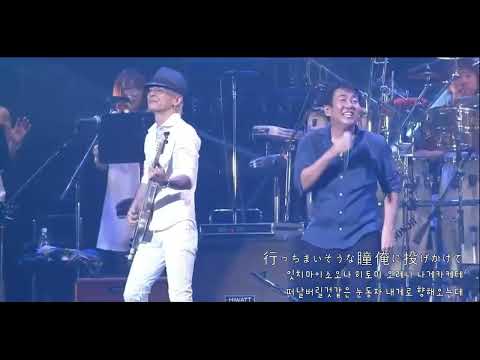 TUBE - シーズン・イン・ザ・サン