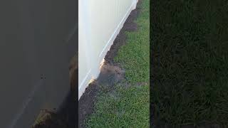 Multiple leaks found after white picket fence installed gone wrong #101 #howto #youtubeshorts #leak
