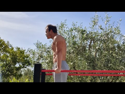 2500 Bodyweight Dips LIVE