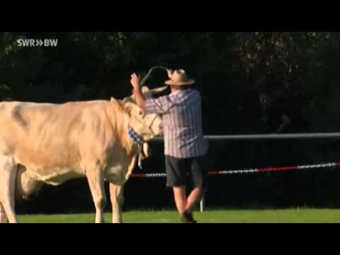 Ringinger Herbstfest Kuhfladen-Roulette 2013