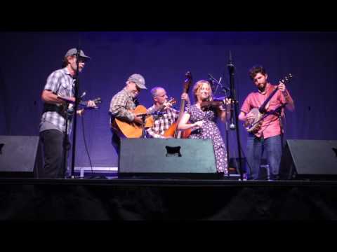 Clifftop 2017 - Old Drake - Hickman's Rag