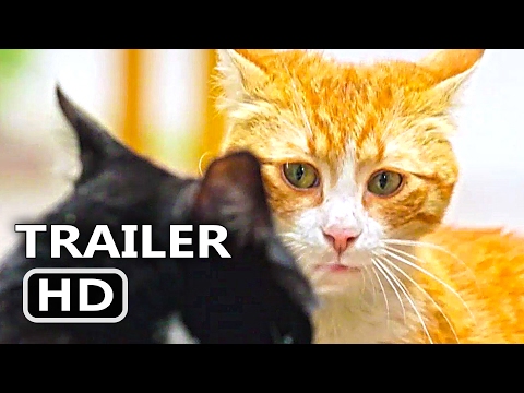 Kedi (2017) Trailer