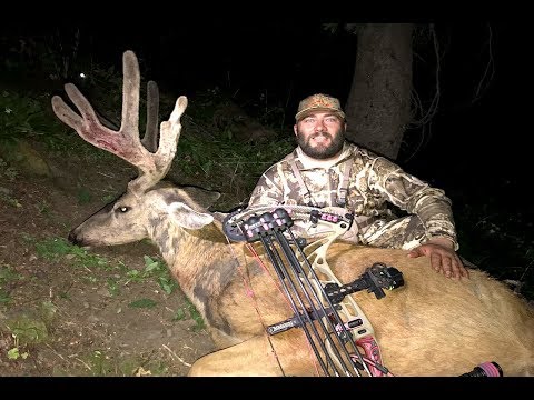 UTAH HIGH COUNTRY DEER HUNT