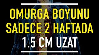 Boy Uzatma Hareketleriyle Omurganı 2 Haftada 15 c