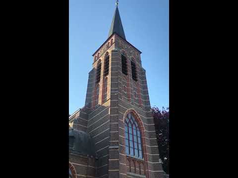 Aalst (NL): Kerkklokken O.L.V. Presentatiekerk (Plenum) "Klokken van hoop en troost"