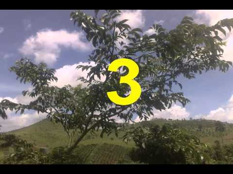 Nơi đó có em Sheet - Hương Giang