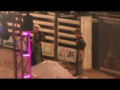 campeões natercia rodeio 2018