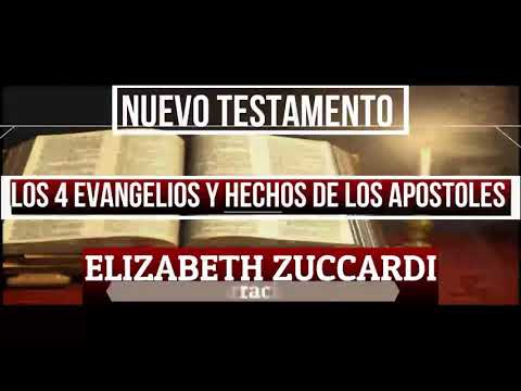 capitulo 113 curso bíblico RECORRIDO POR LAS SAGRADAS ESCRITURAS LOS CUATRO EVANGELIOS