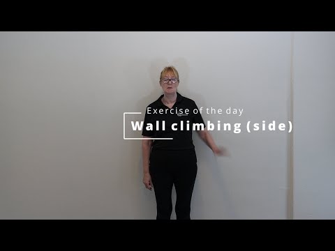 Home Exercise: Wall Climbing (Side)
