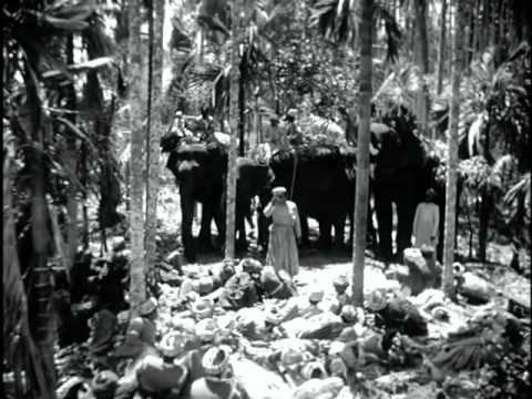 A Throw of Dice 1929