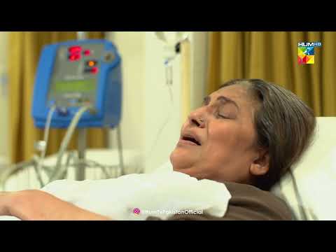 Mera Gurda Kiun Nikaal Diya Mein Tou Theek Thi Bilkul - Beqadar - HUM TV Drama