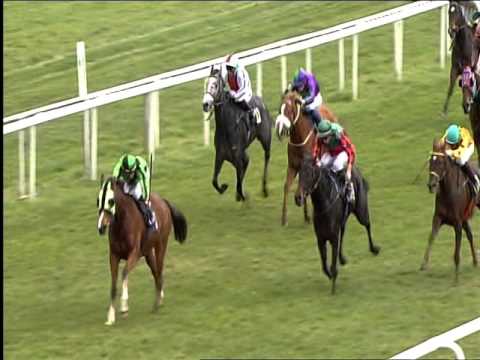 Galopprennbahn Dresden 18.11.2015 - 3.Rennen