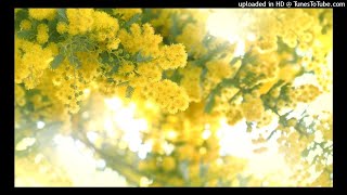 Download lagu 「さまよえるオランダ人」　糸車の合唱 mp3