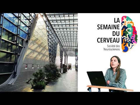 [Conférence] Cerveau et mémoire : une histoire hippocampique