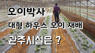 하우스 오이재배 관주시설은 어떻게 하는걸까? 오이박사 오이재배법