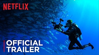 Mission Blue | Official Trailer [HD] | Netflix