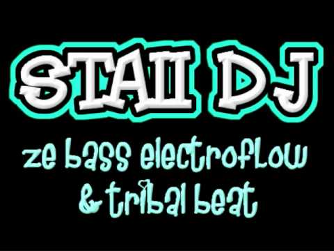 Staii DJ - Ze Bass Electroflow & Tribal Beat (Krafft Team Remix)