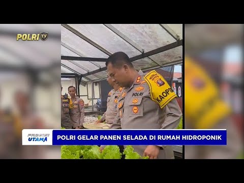 POLRES KALTENG PANEN SELADA DI RUMAH PANGAN LESTARI