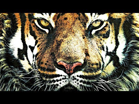 Raise The Energy of Male Genital Chakra and Fill Yourself with Passion - Tantric Meditation Music