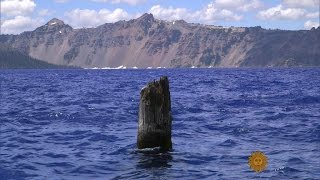 On the Trail: Crater Lake&#39;s Old Man