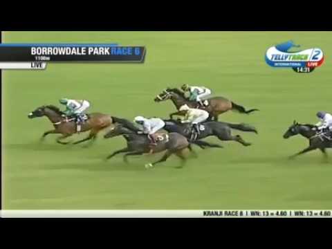 2017.01.08 Hachiman Sprint (ZIM) - Super Good