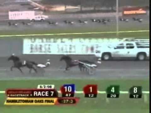 Hambletonian Oaks 2008 -Creamy Mimi