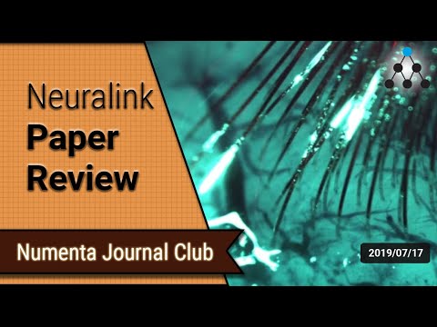 Neuralink Paper Review - Numenta Research Meeting