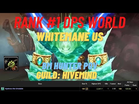 Rank #1 SSC Hydross DPS World - Day 1 - BM Hunter PoV 2,247.7 DPS - WoW TBC Classic