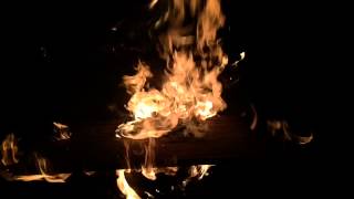 Fire. Clams Casino, treetop