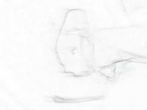 A Loucura das Drogas