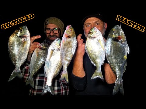 AN EPIC OPEN COAST GILTHEAD BREAM FISHING IN NORTH WALES | COULDN'T BELIEVE MY LUCK | SEA FISHING UK