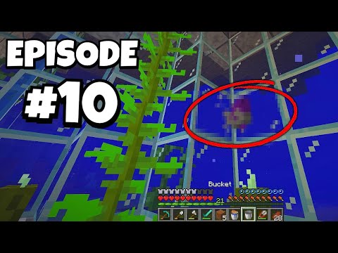 Dumbcraft: Episode #10 - SIMP HAS NEW FRIENDS!!! (NEW PET!!)